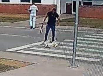 Homem é detido após chutar e espancar cachorro que entrou em empresa