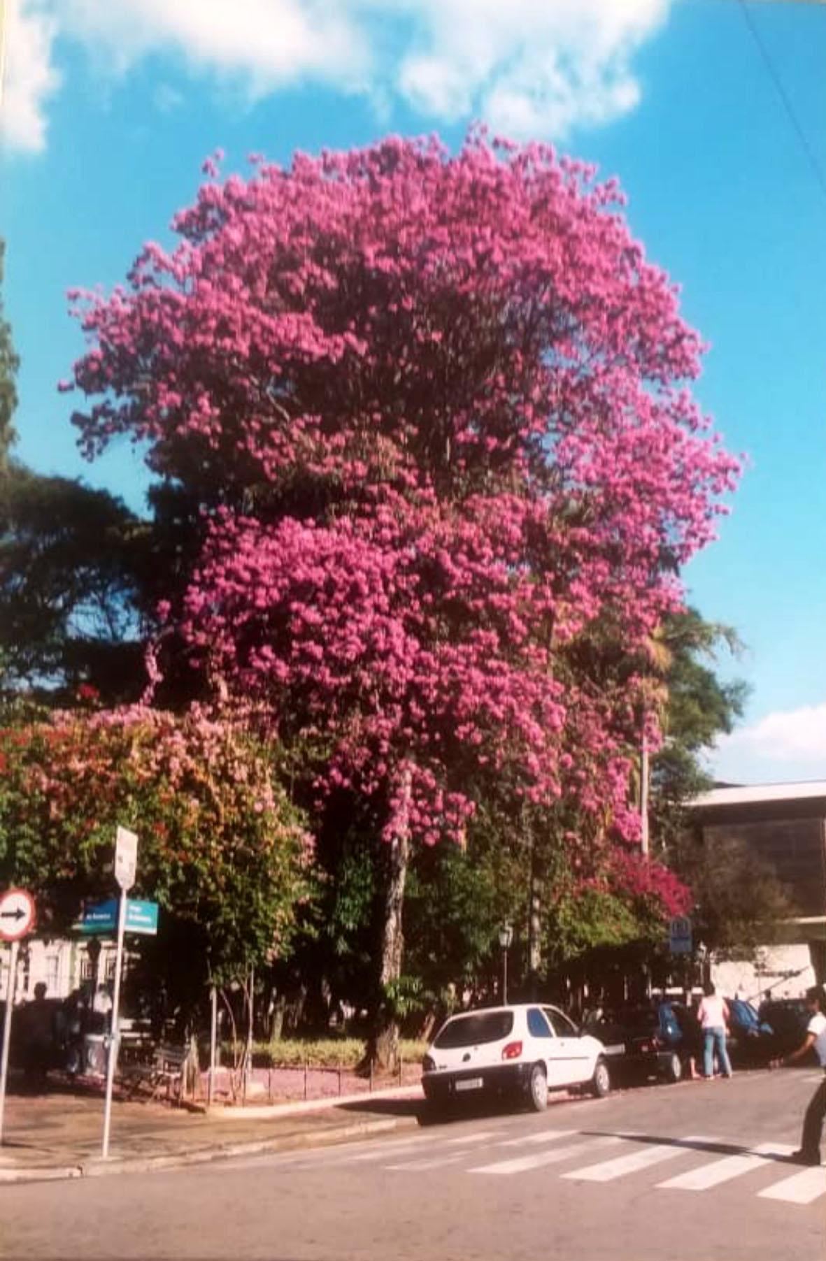 Um pouco da história de Itatiba  e itatibenses contada em fotos