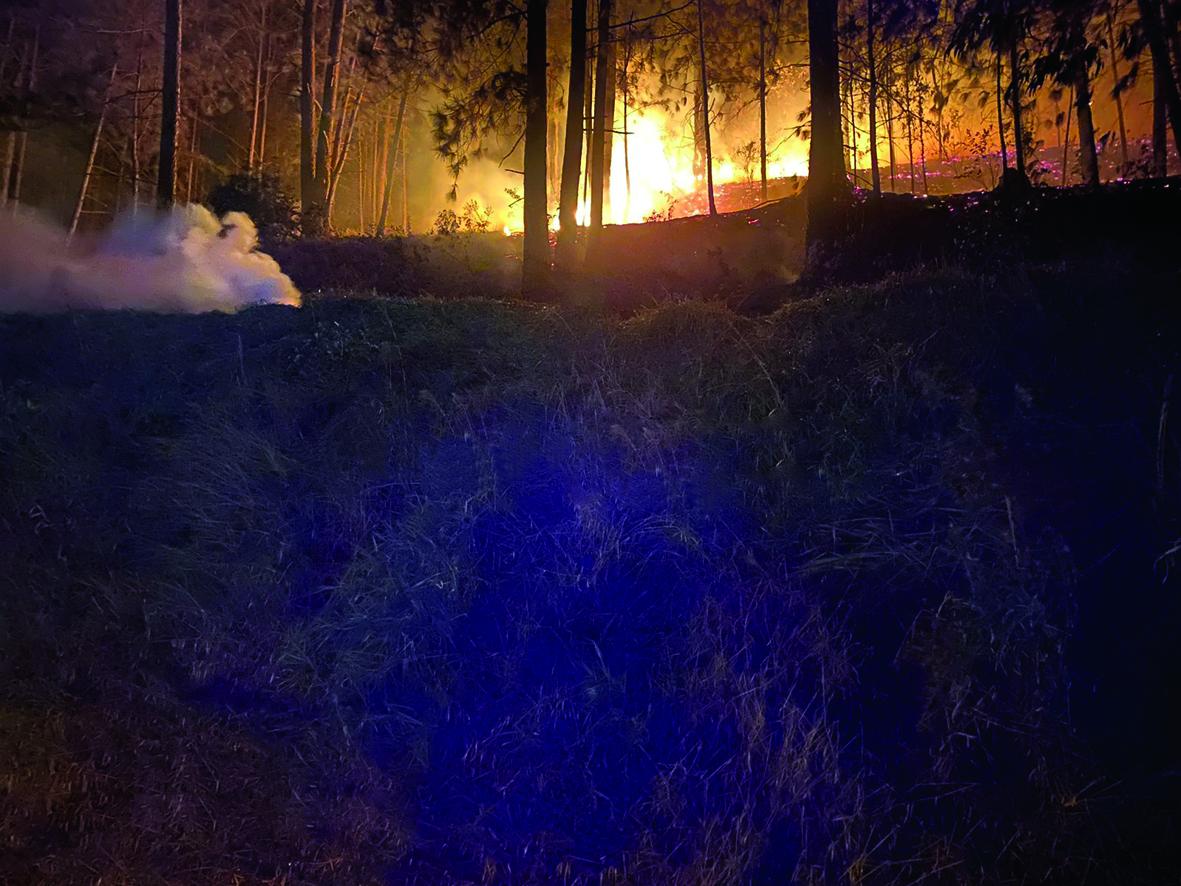 Incêndios às margens do Corredor Dom Pedro aumentam em agosto