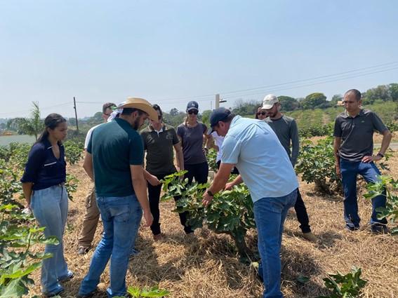 Produção e exportação de frutas é tema de visita técnica dos alunos de Engenharia Agronômica da USF