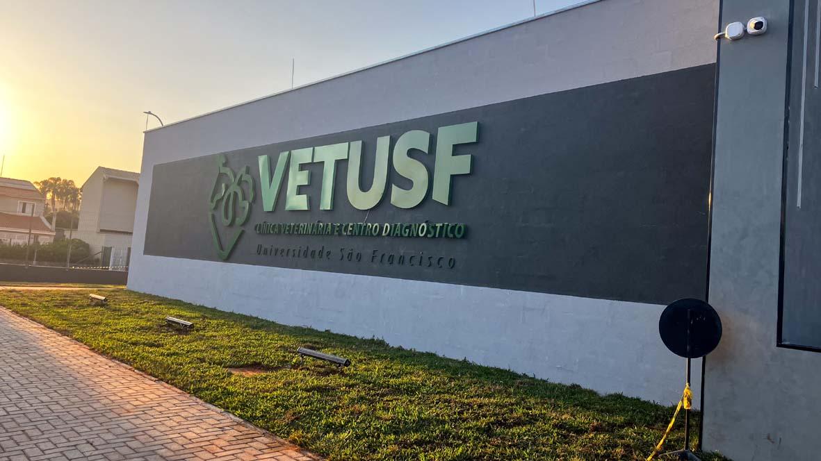 Clínica Veterinária VETUSF promove campanha de castração