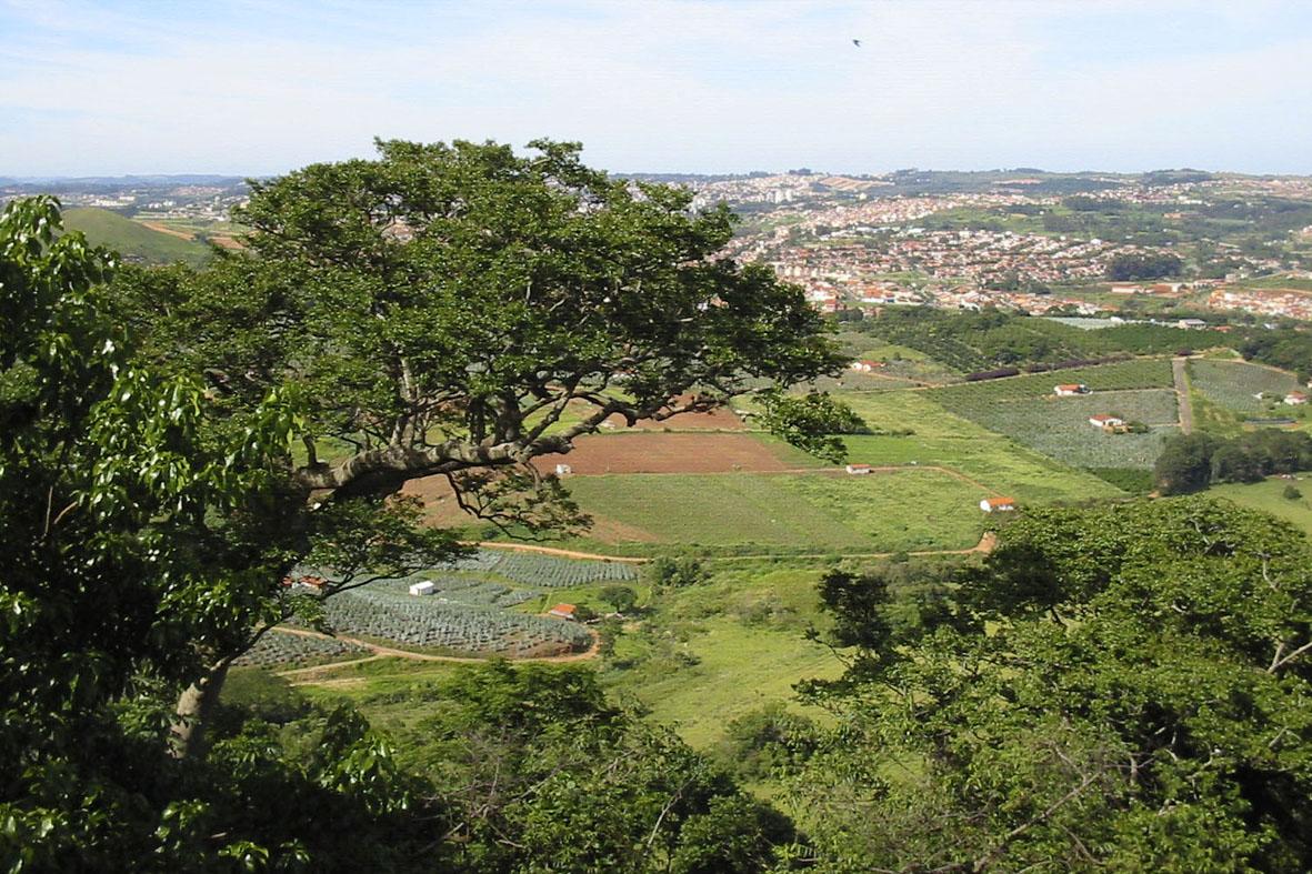 Deputada propõe criação de unidade de conservação ambiental na Serra dos Cocais