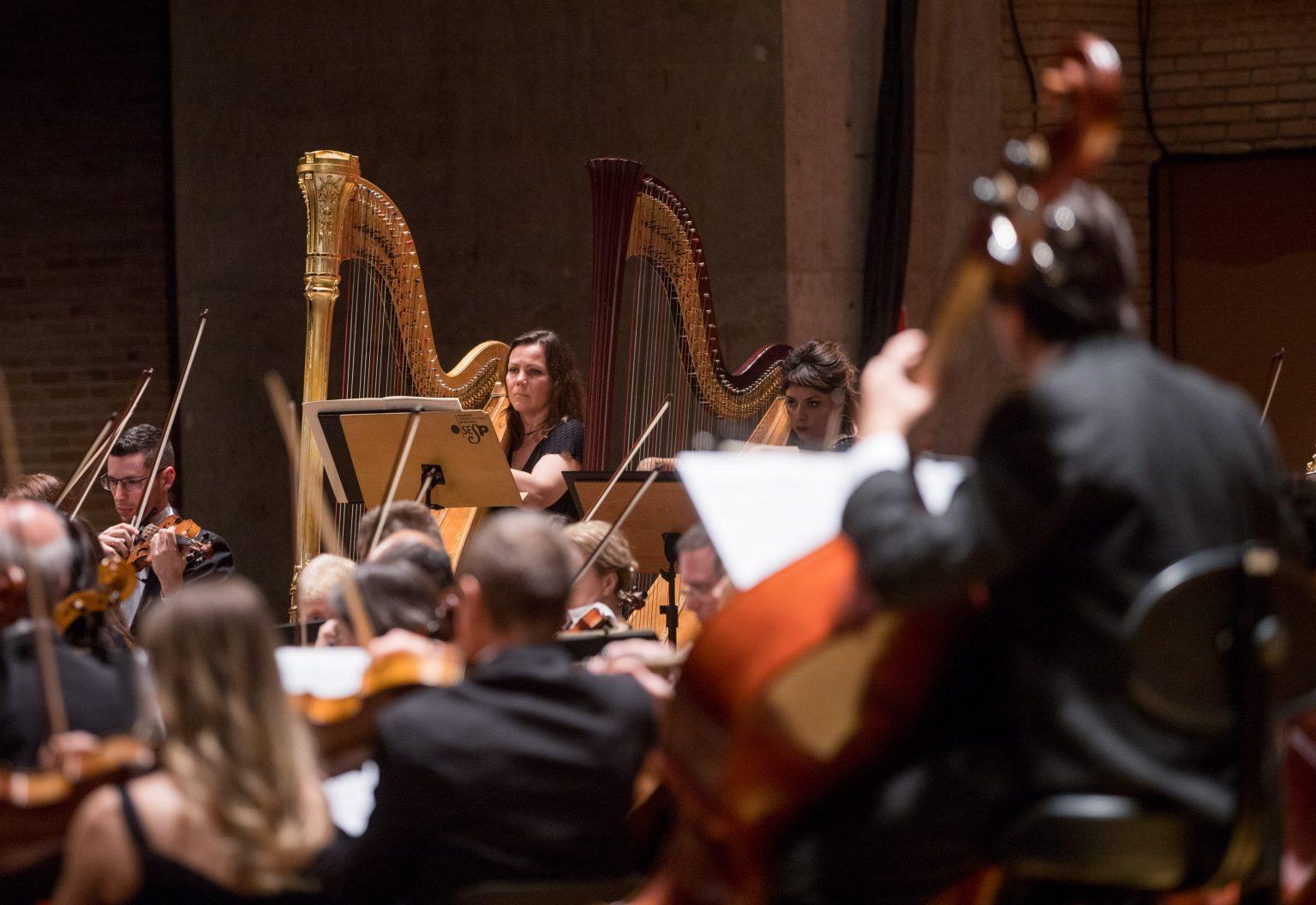 Orquestra Jovem Tom Jobim faz concerto gratuito em homenagem a Rita Lee