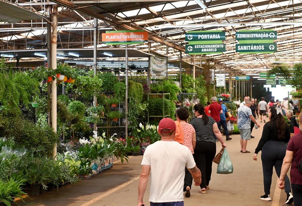 Mercado de Flores da Ceasa pode ser boa opção de lazer para este feriado