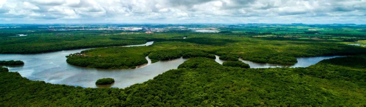 Outubro apresentou chuvas acima da média, mas vazões dos rios seguem abaixo do esperado