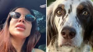 Anitta encontra seu cachorro Charlie após sumiço na noite de Natal