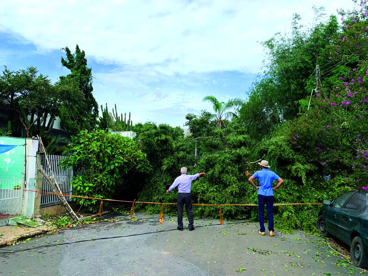 Equipes municipais se mobilizam em serviços após temporal