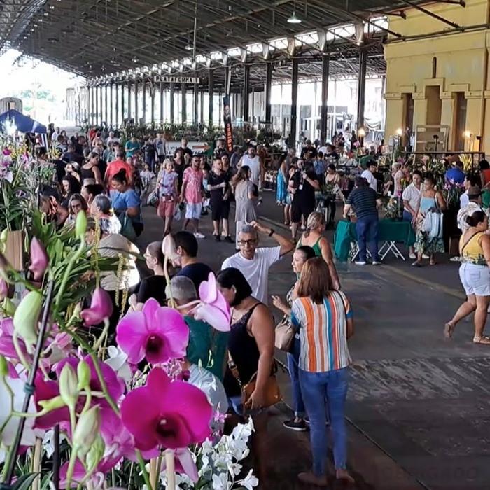 5º Festival de Orquídeas e Flores será neste final de semana em Campinas