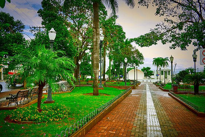 Estado de São Paulo tem as cidades mais arborizadas do país; veja quais